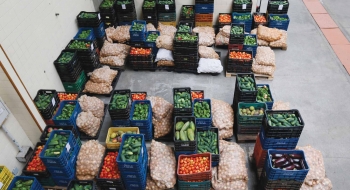 Acondicionamento ruim leva à perda de muita comida no Brasil